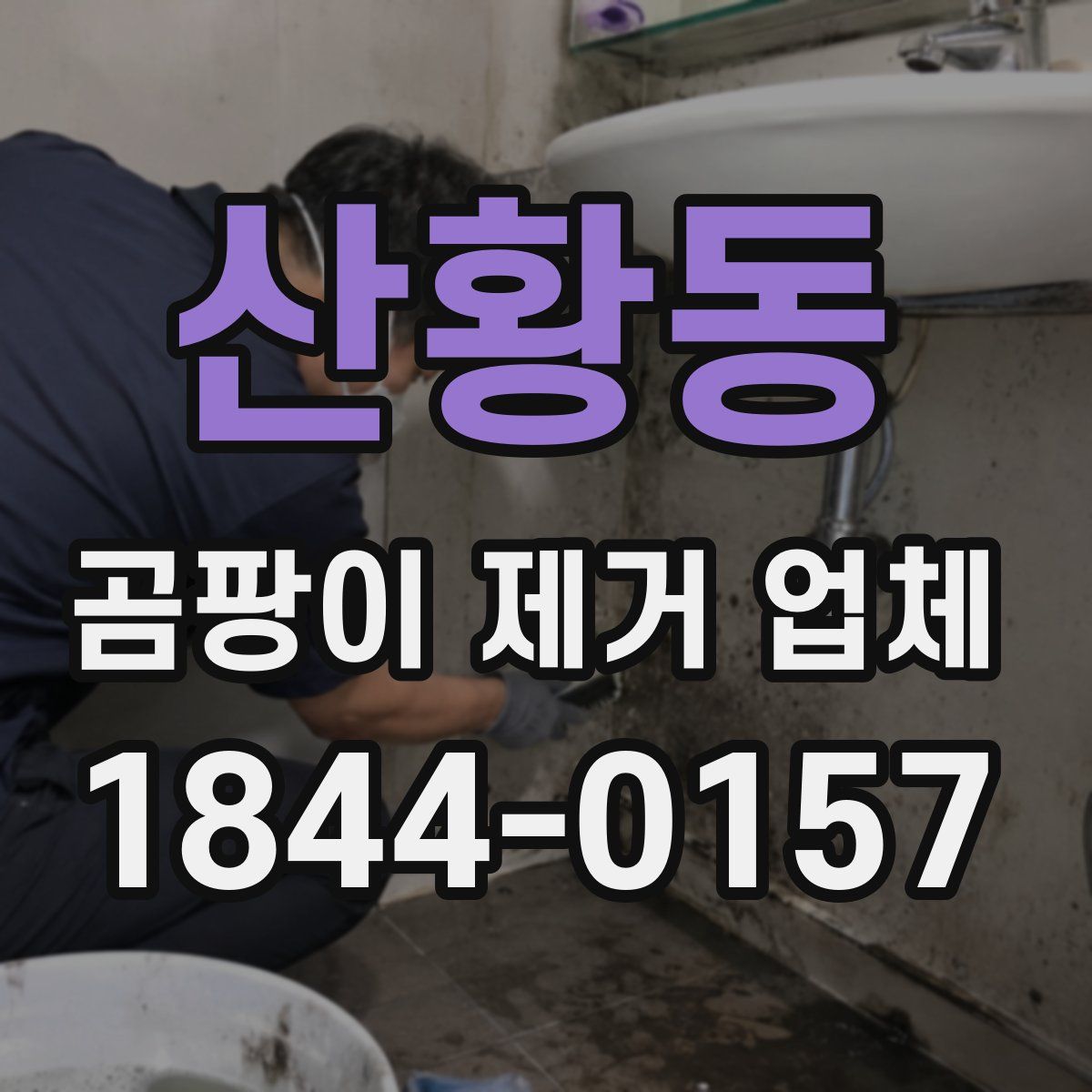 산황동 곰팡이 제거 업체