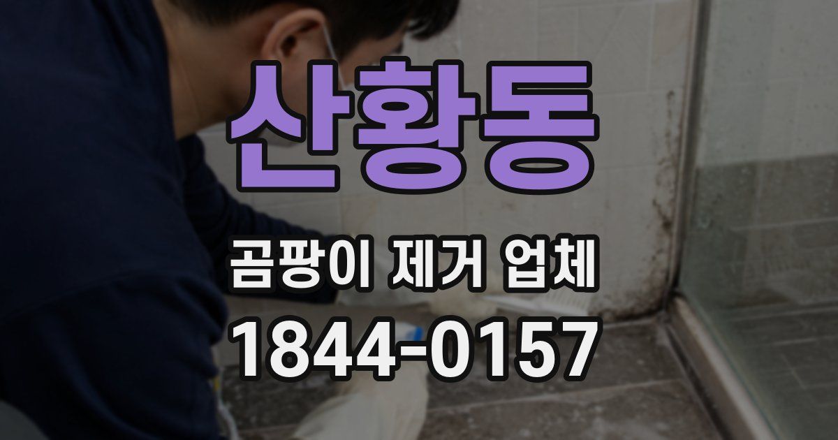 산황동 곰팡이 제거 업체