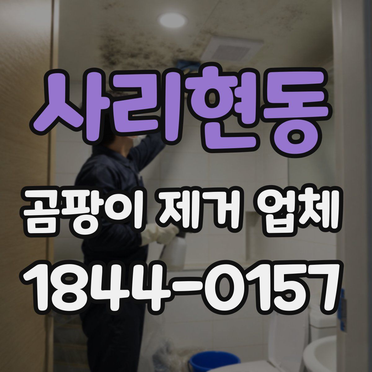 사리현동 곰팡이 제거 업체