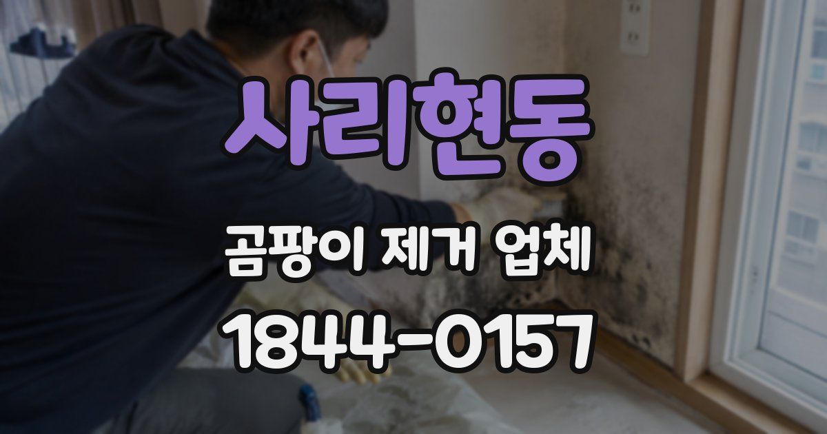 사리현동 곰팡이 제거 업체