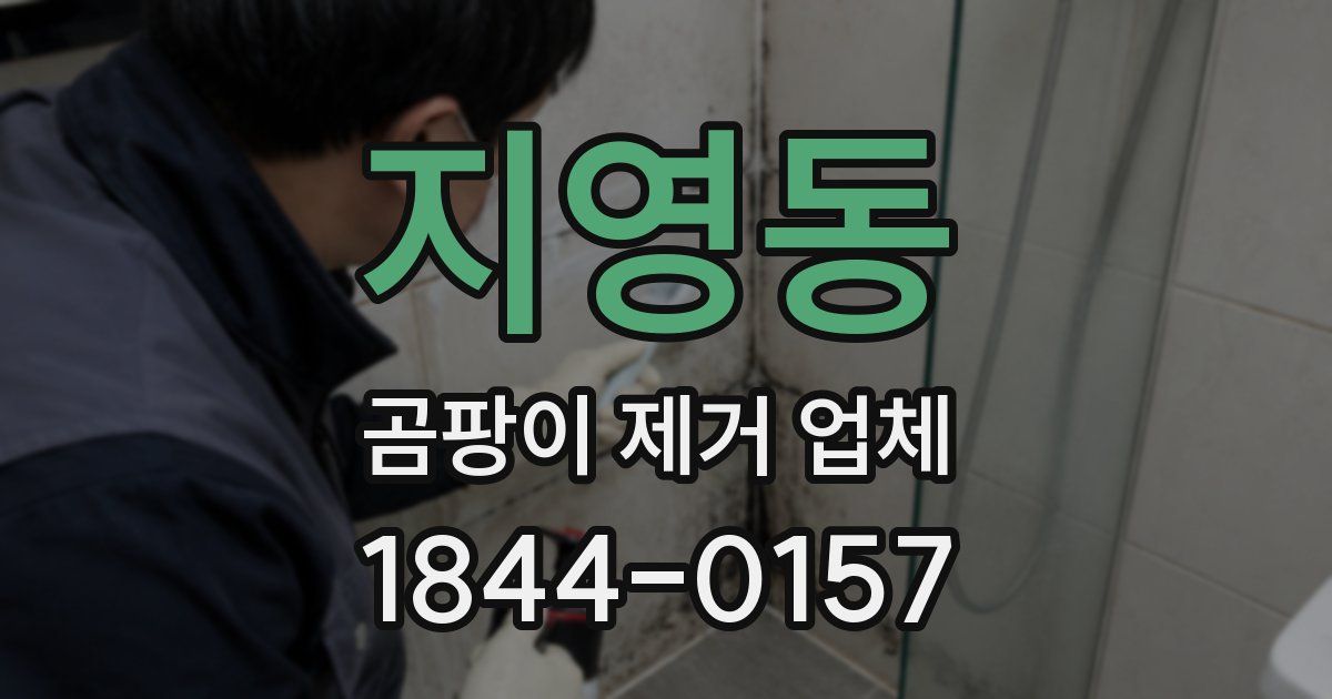 지영동 곰팡이 제거 업체