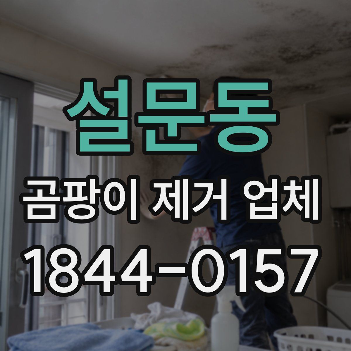 설문동 곰팡이 제거 업체