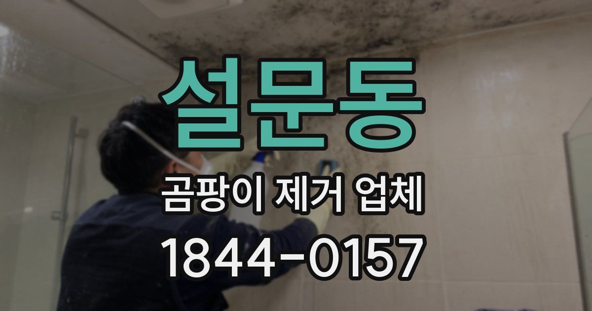 설문동 곰팡이 제거 업체