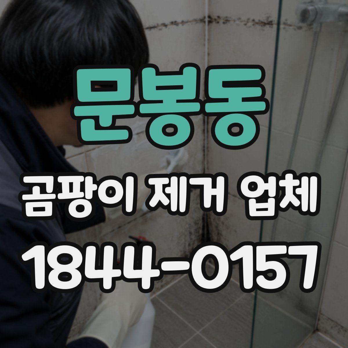 문봉동 곰팡이 제거 업체 공용 벽면 번짐 여부를 확인하는 체크포인트