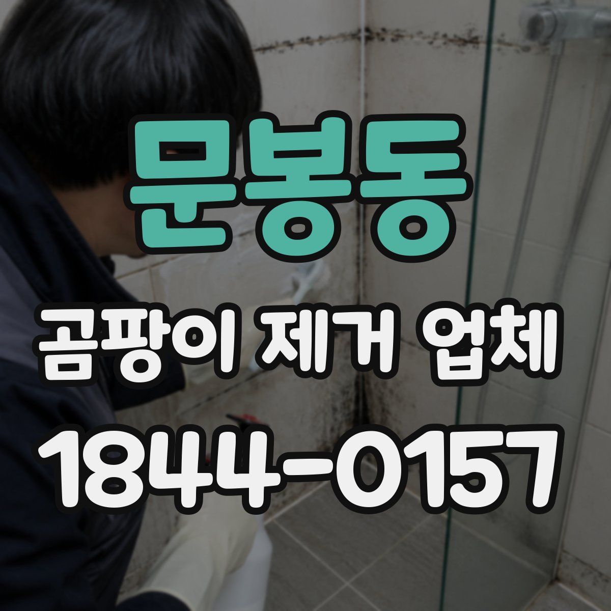 문봉동 곰팡이 제거 업체