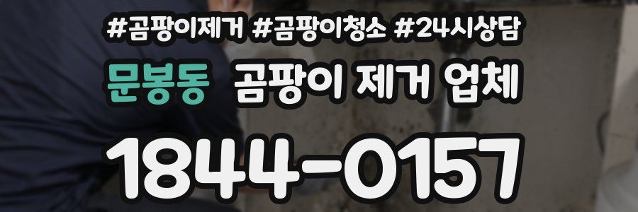 문봉동 곰팡이 제거 업체