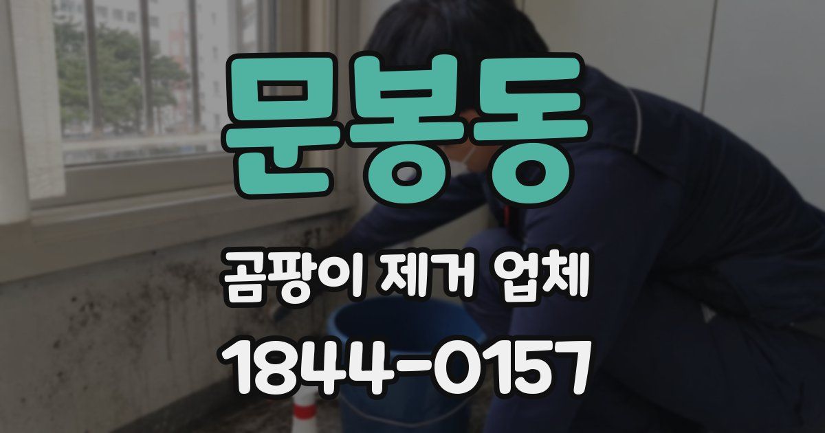 문봉동 곰팡이 제거 업체
