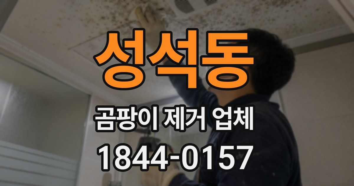 성석동 곰팡이 제거 업체