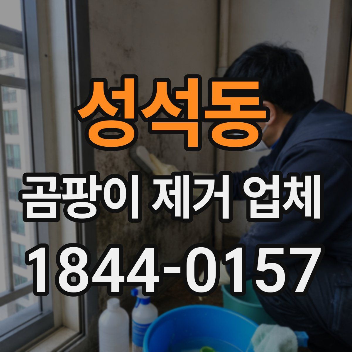 성석동 곰팡이 제거 업체