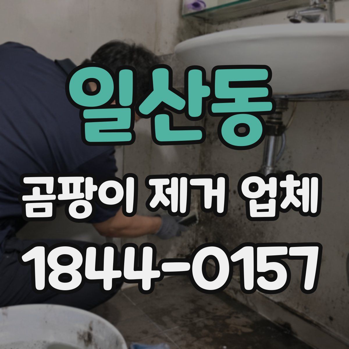 일산동 곰팡이 제거 업체