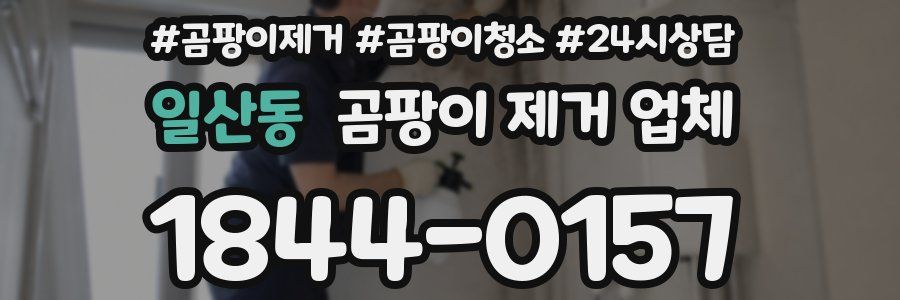 일산동 곰팡이 제거 업체