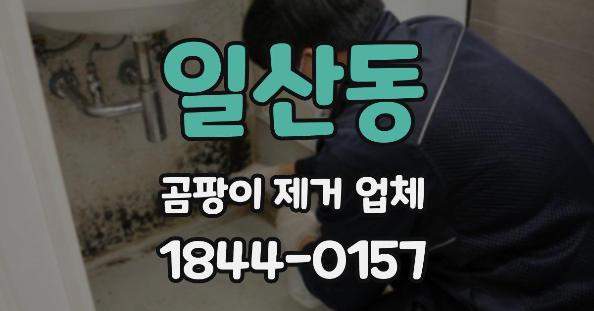일산동 곰팡이 제거 업체