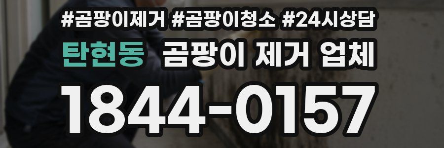 탄현동 곰팡이 제거 업체