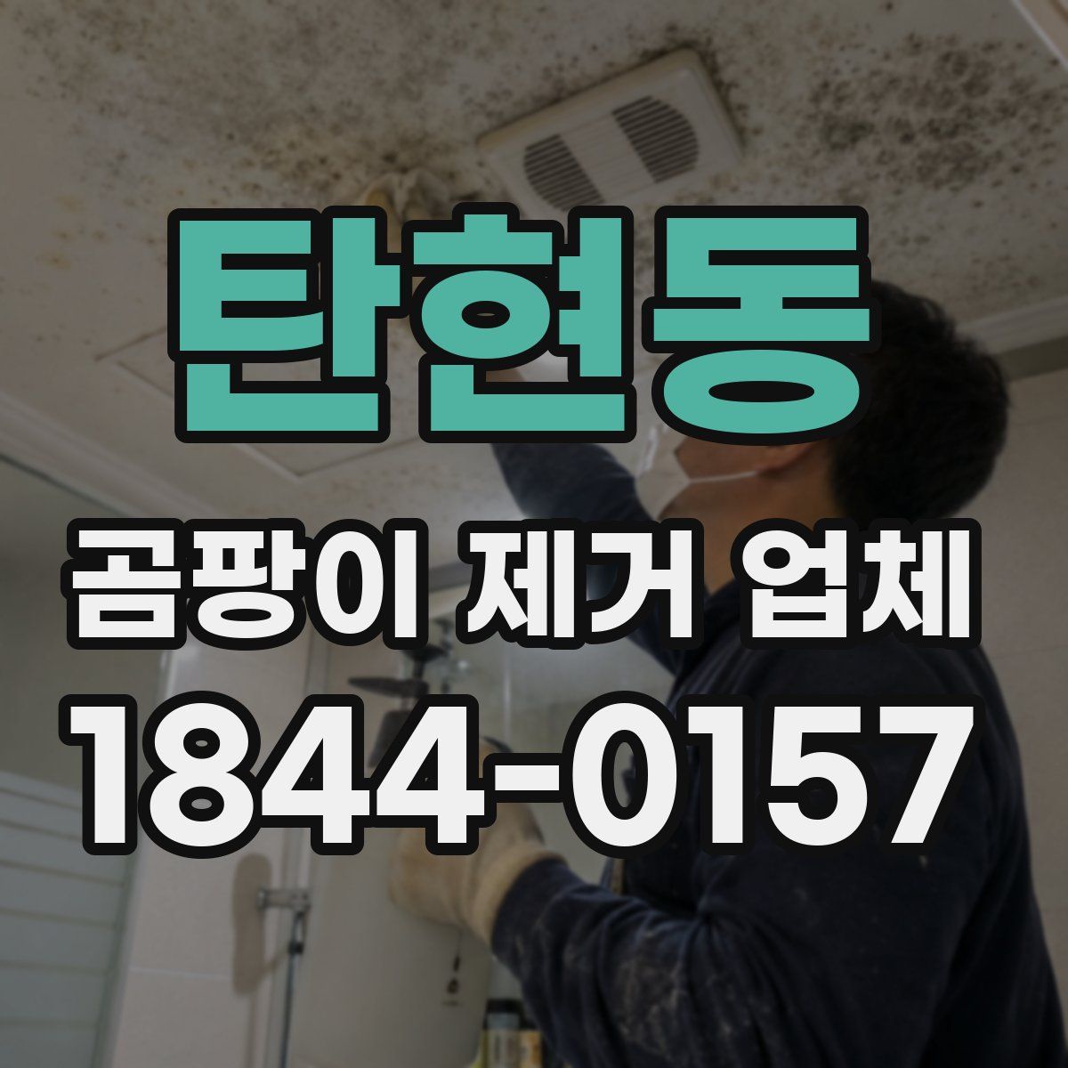 탄현동 곰팡이 제거 업체