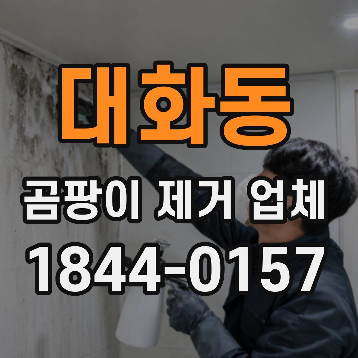 대화동 곰팡이 제거 업체