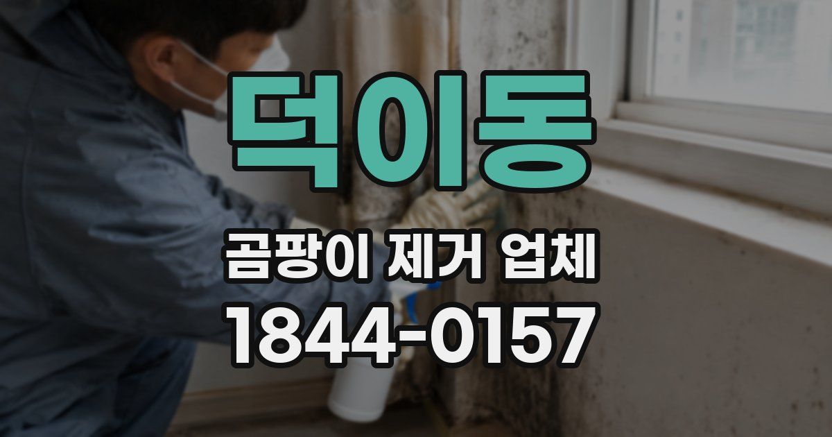 덕이동 곰팡이 제거 업체