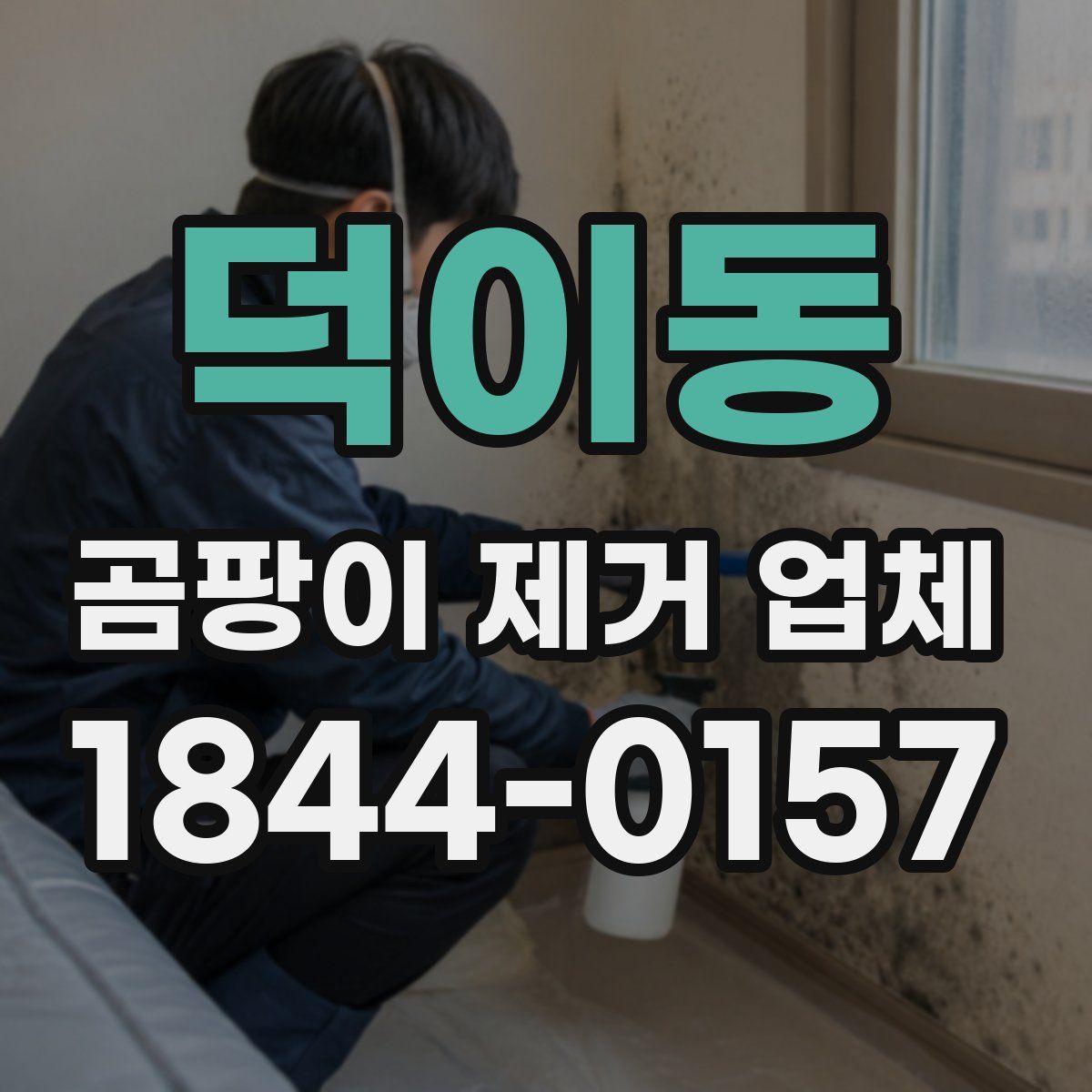 덕이동 곰팡이 제거 업체
