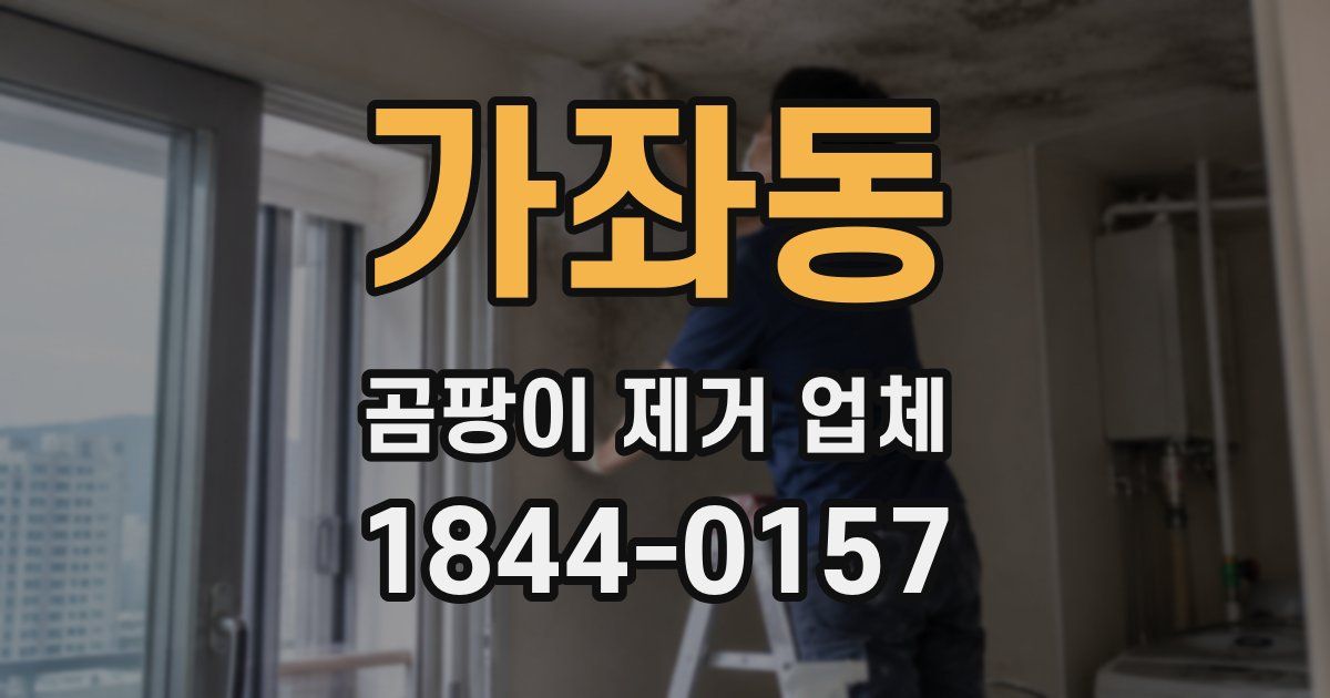 가좌동 곰팡이 제거 업체
