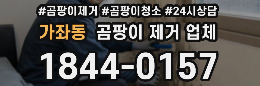 가좌동 곰팡이 제거 업체
