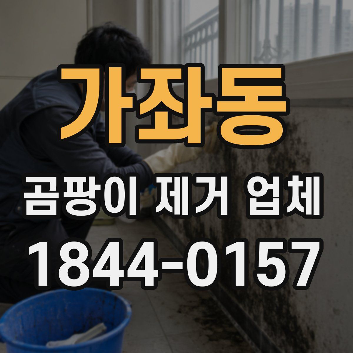 가좌동 곰팡이 제거 업체