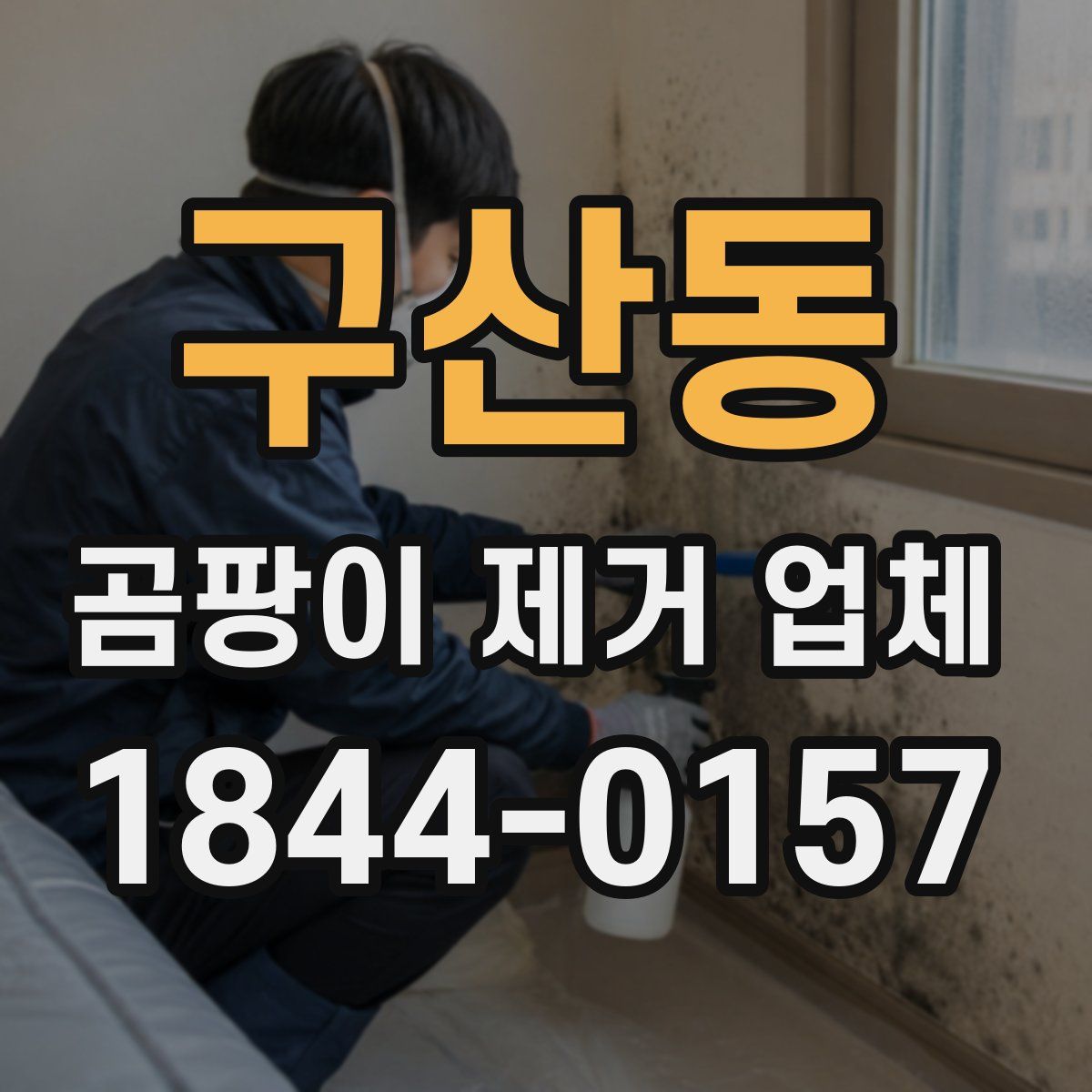 구산동 곰팡이 제거 업체