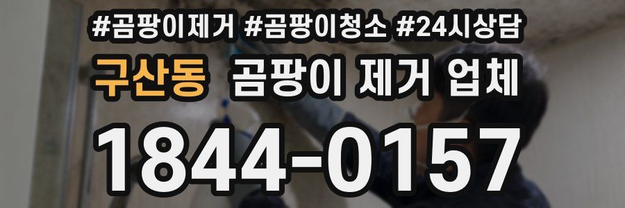 구산동 곰팡이 제거 업체