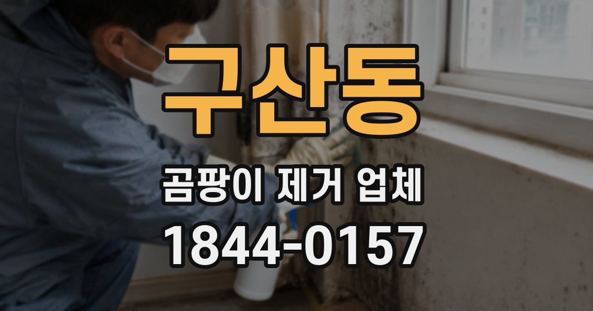 구산동 곰팡이 제거 업체
