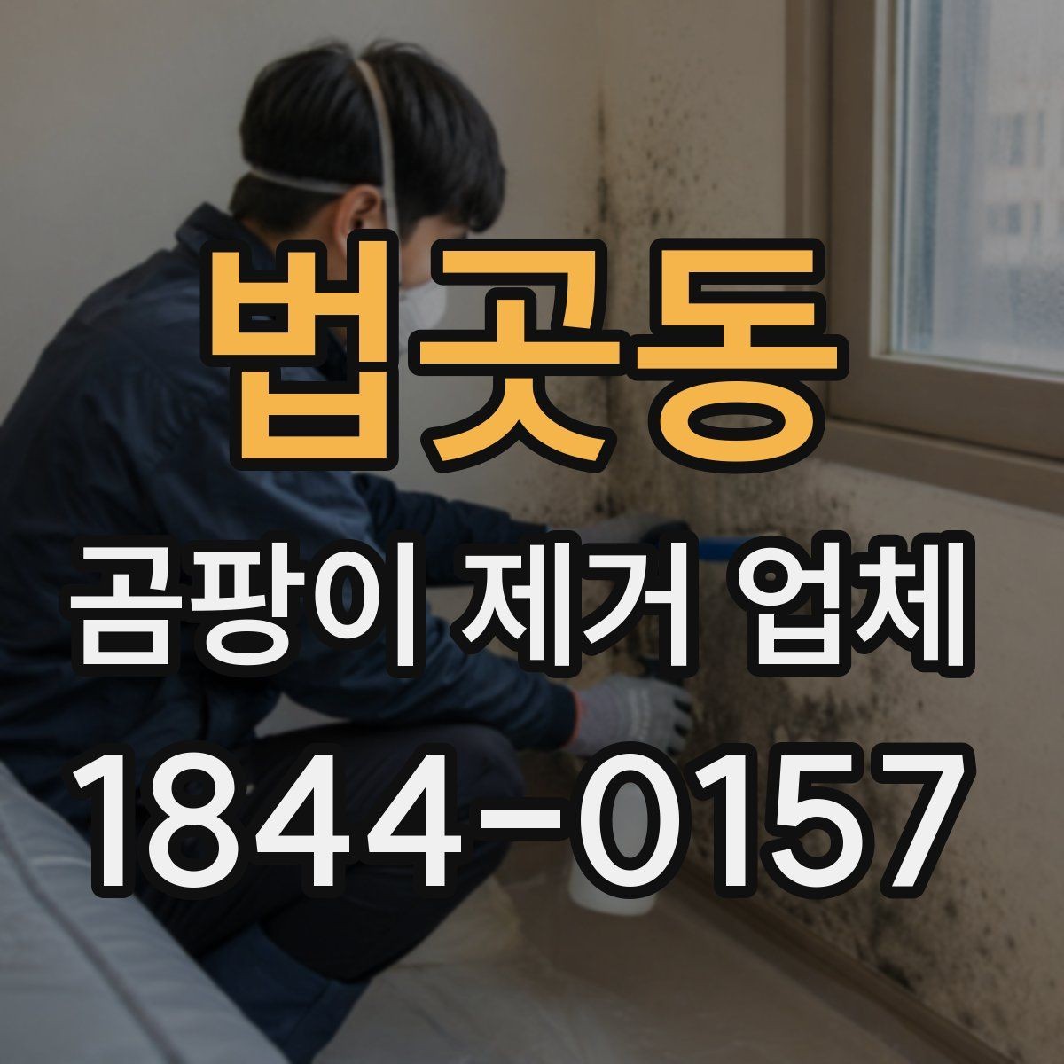 법곳동 곰팡이 제거 업체 사진진단으로 확인하는 벽면과 천장 상태