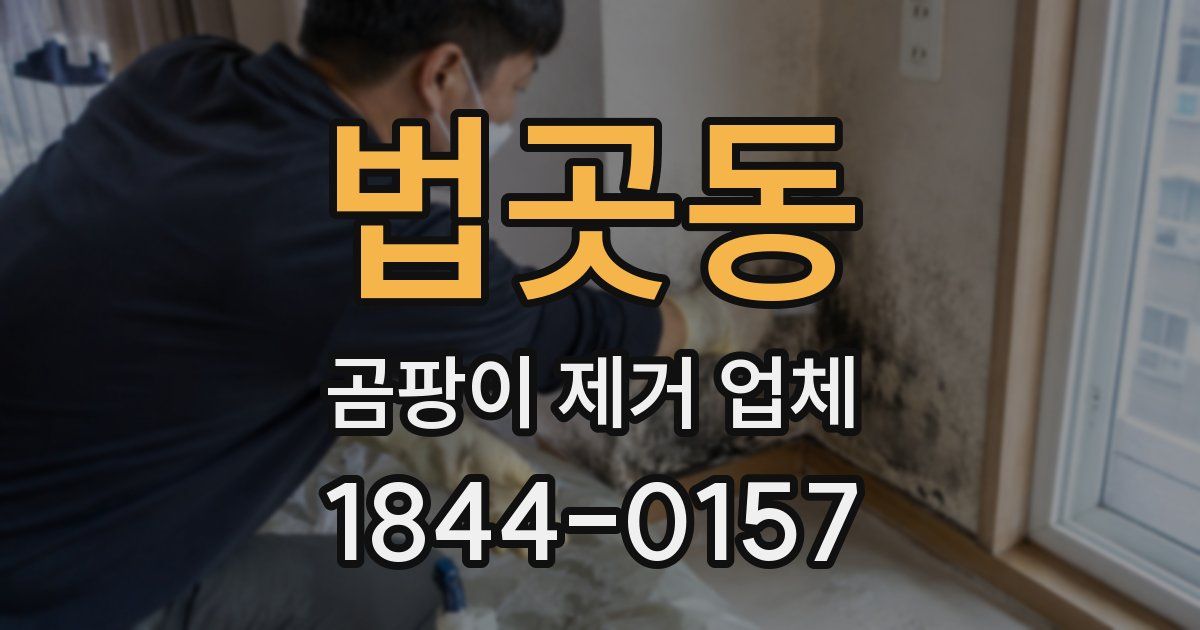 법곳동 곰팡이 제거 업체