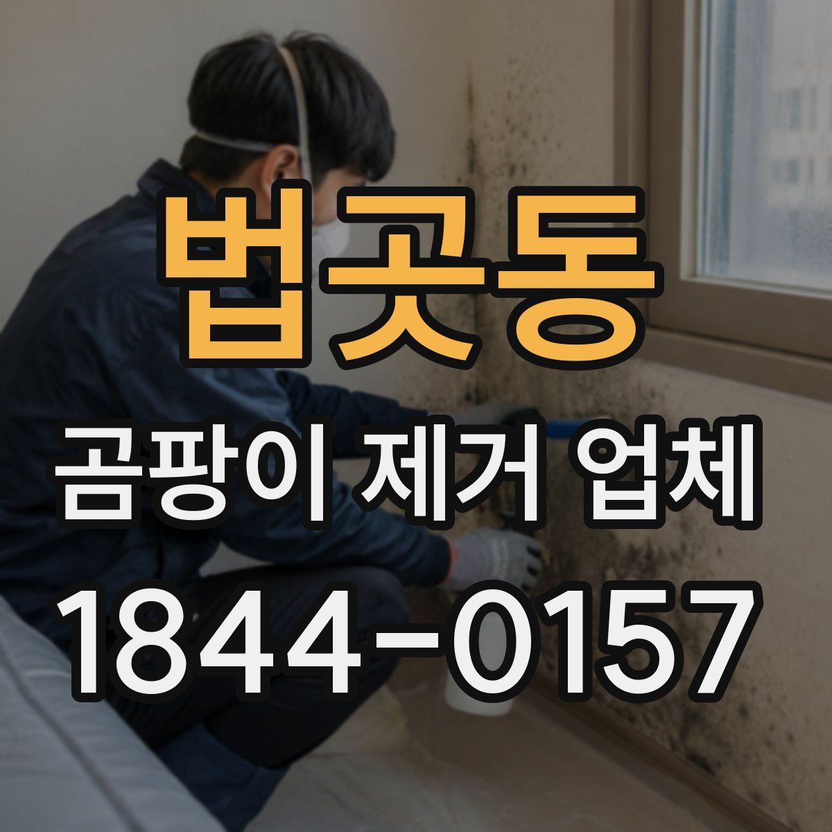 법곳동 곰팡이 제거 업체