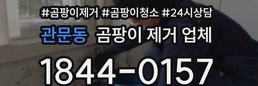 관문동 곰팡이 제거 업체