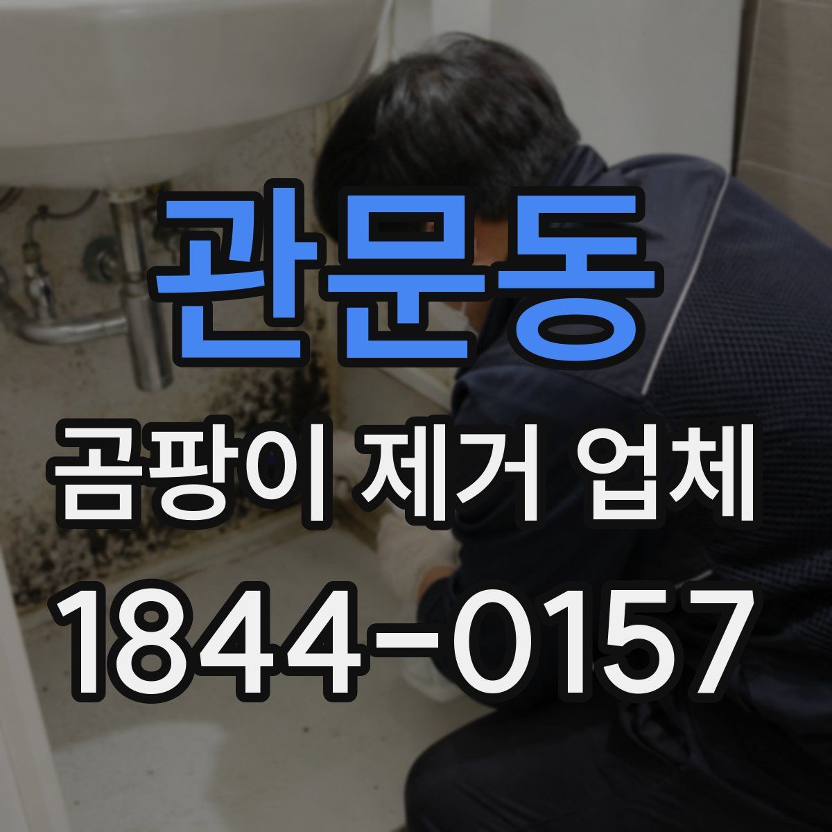 관문동 곰팡이 제거 업체