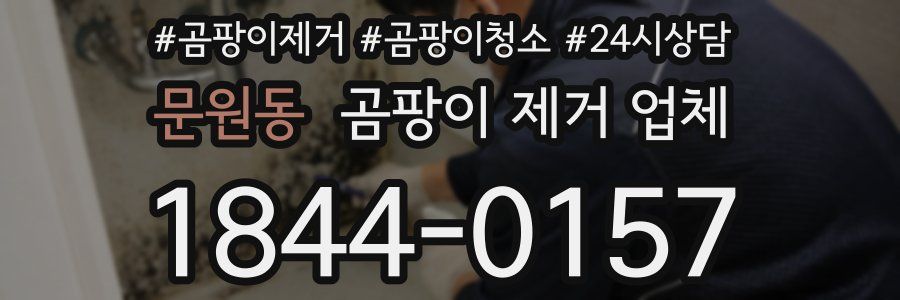 문원동 곰팡이 제거 업체