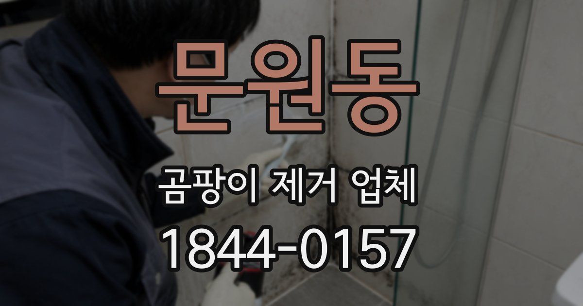 문원동 곰팡이 제거 업체