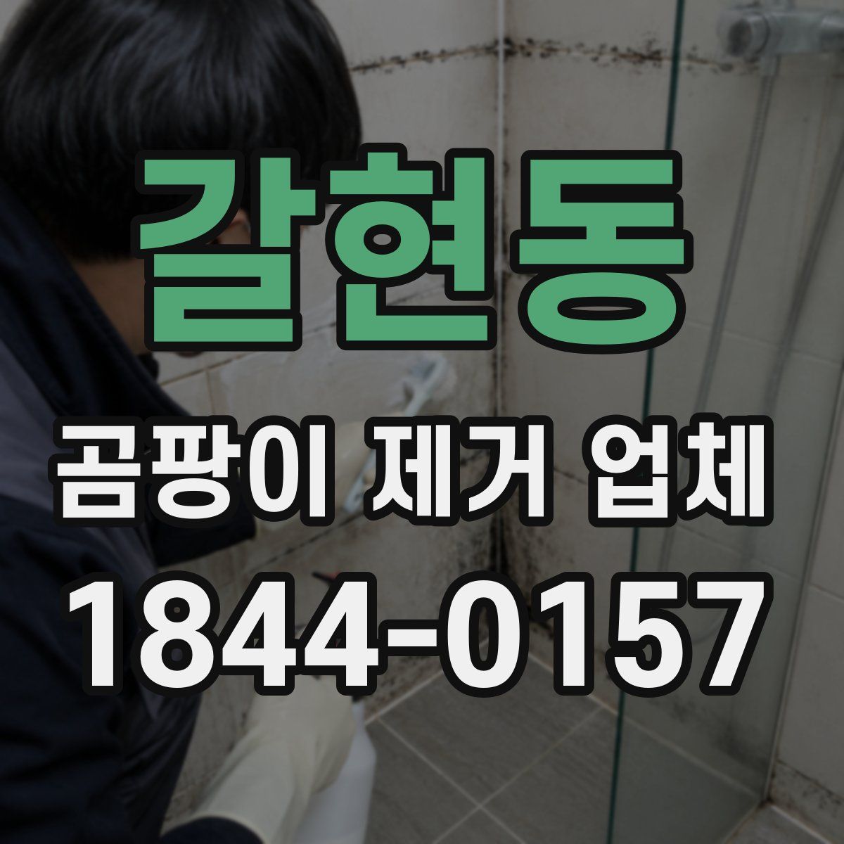 갈현동 곰팡이 제거 업체