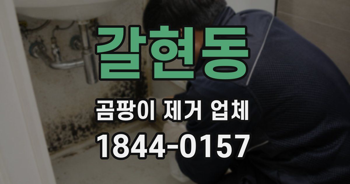 갈현동 곰팡이 제거 업체