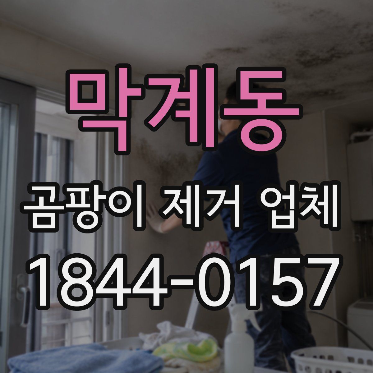 막계동 곰팡이 제거 업체