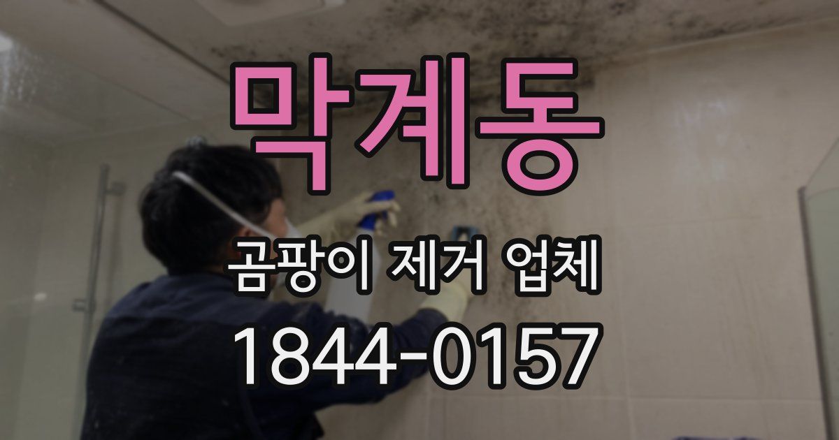 막계동 곰팡이 제거 업체