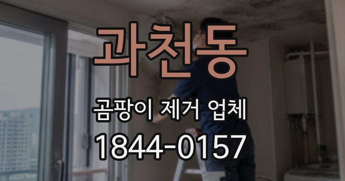 과천동 곰팡이 제거 업체