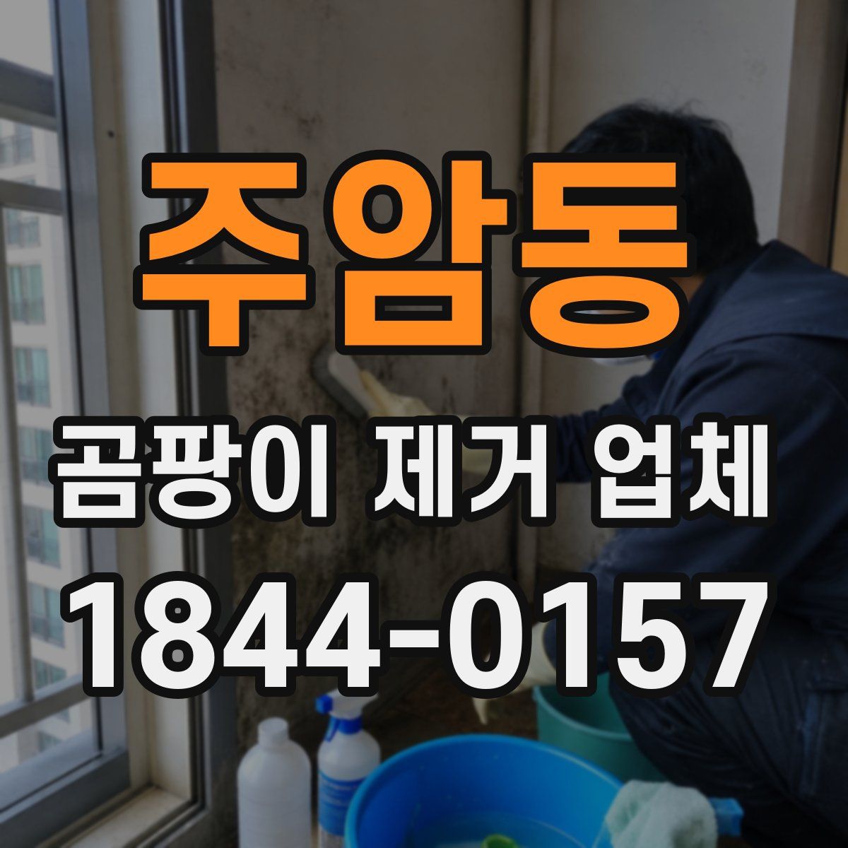주암동 곰팡이 제거 업체