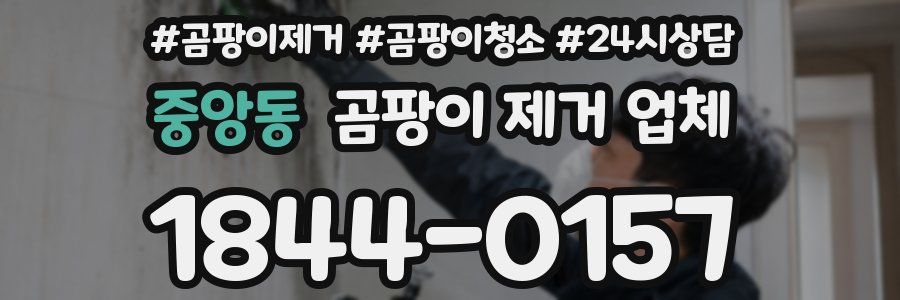 중앙동 곰팡이 제거 업체
