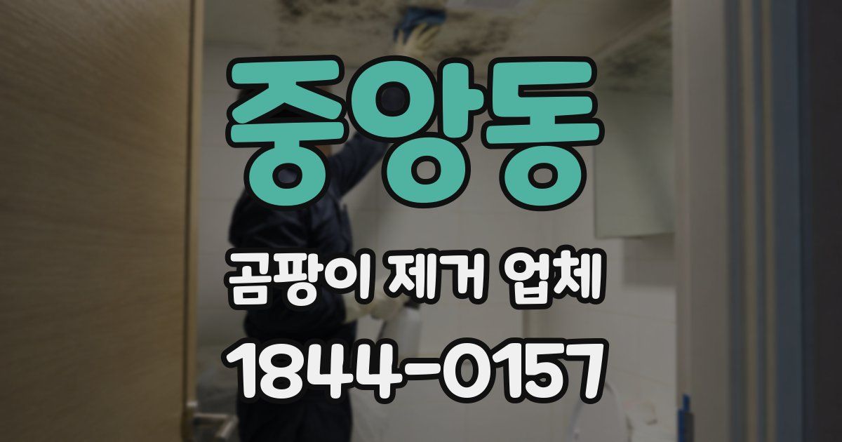 중앙동 곰팡이 제거 업체