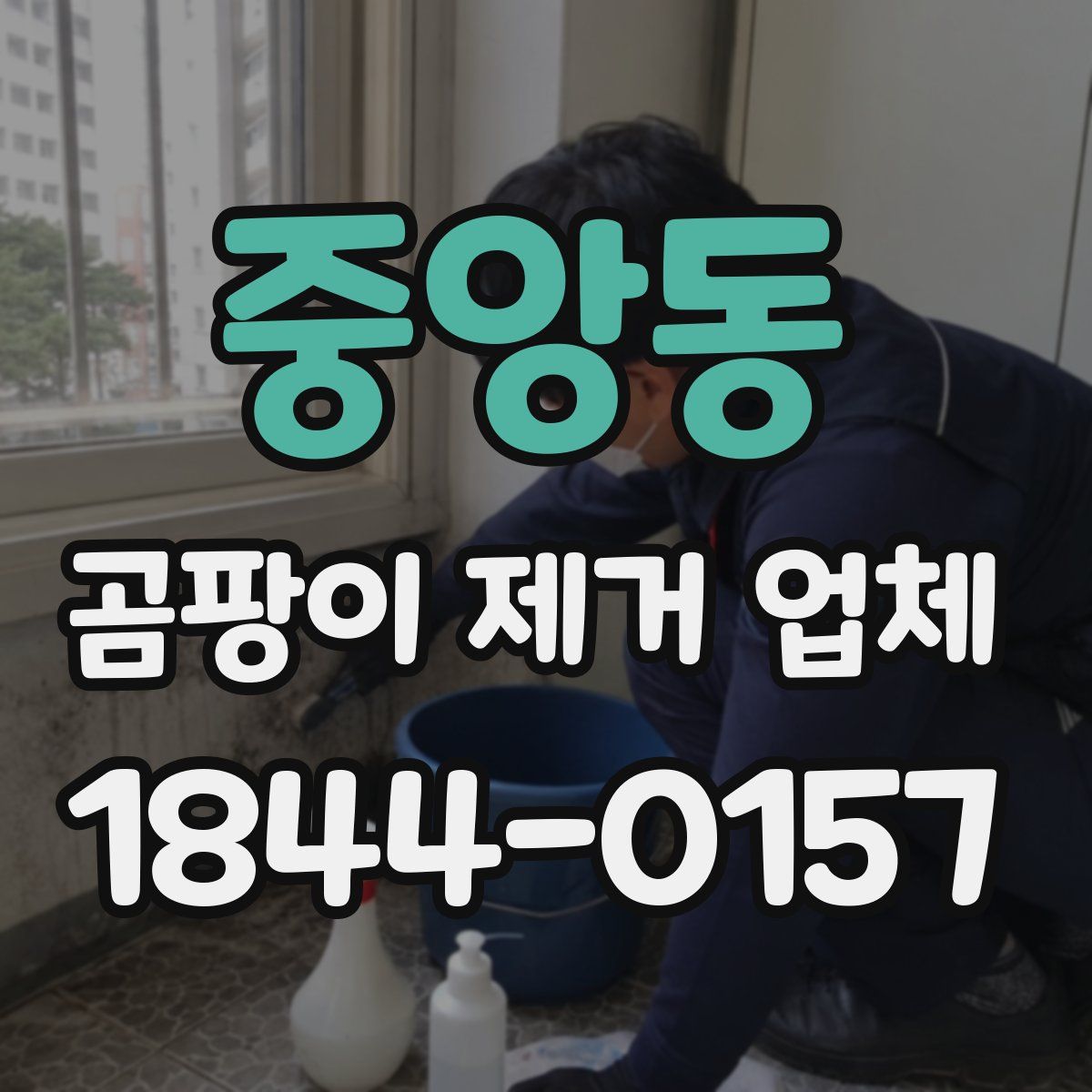 중앙동 곰팡이 제거 업체