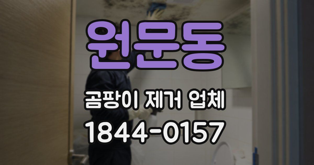 원문동 곰팡이 제거 업체