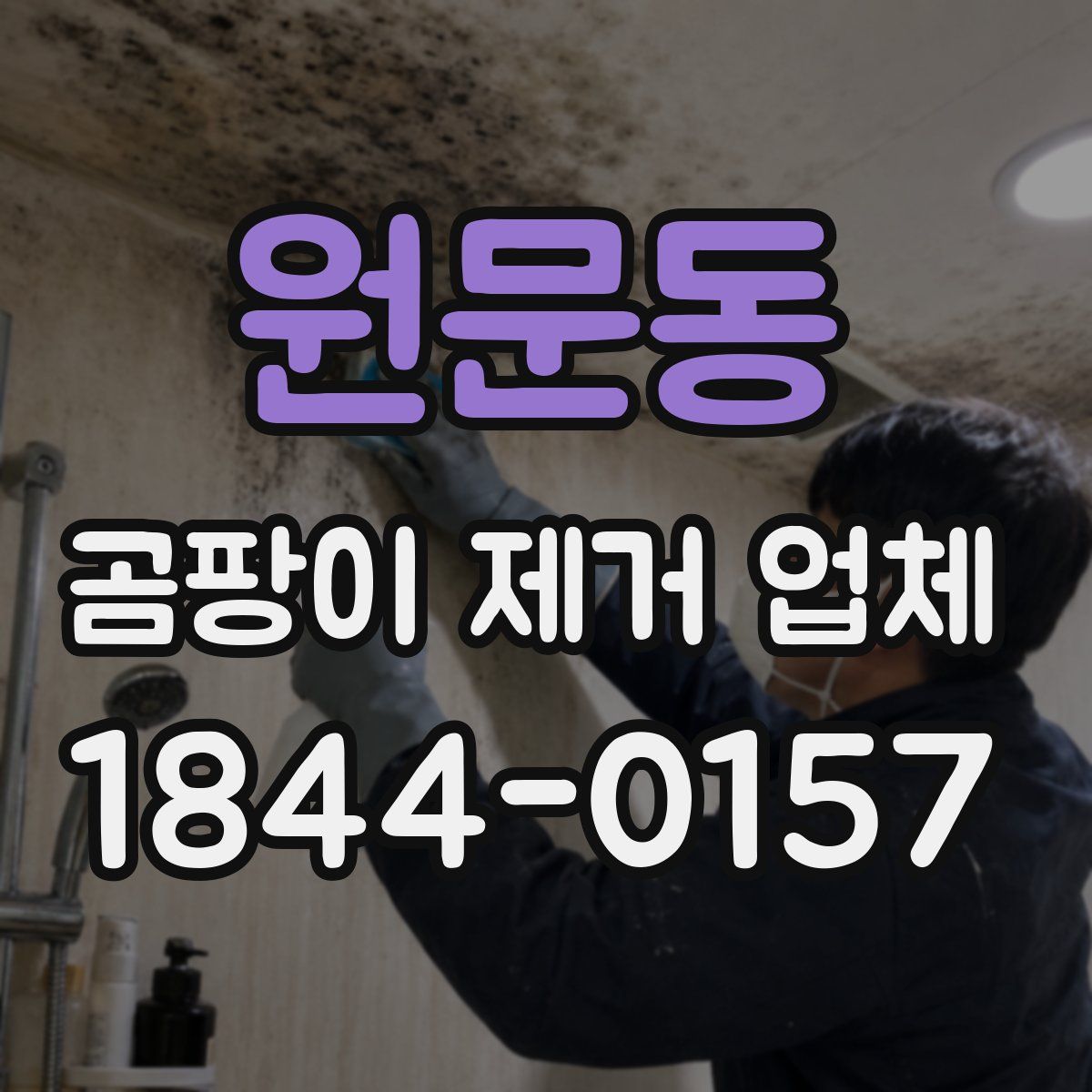 원문동 곰팡이 제거 업체