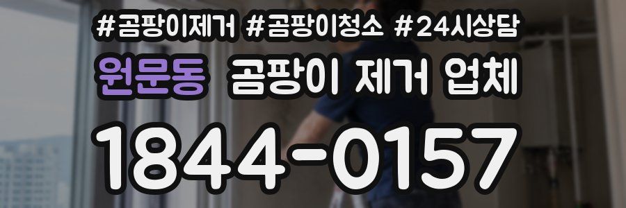 원문동 곰팡이 제거 업체