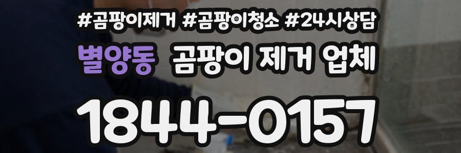 별양동 곰팡이 제거 업체