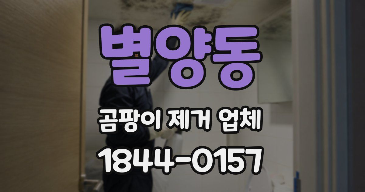별양동 곰팡이 제거 업체