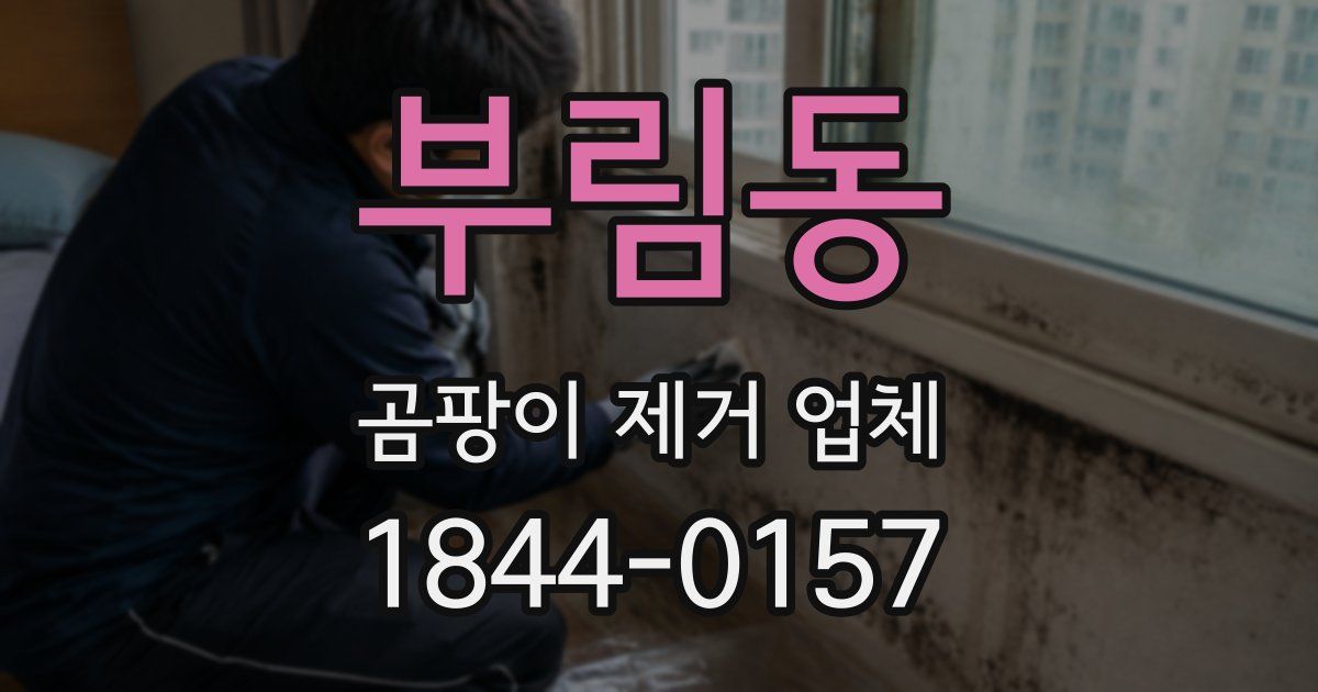 부림동 곰팡이 제거 업체