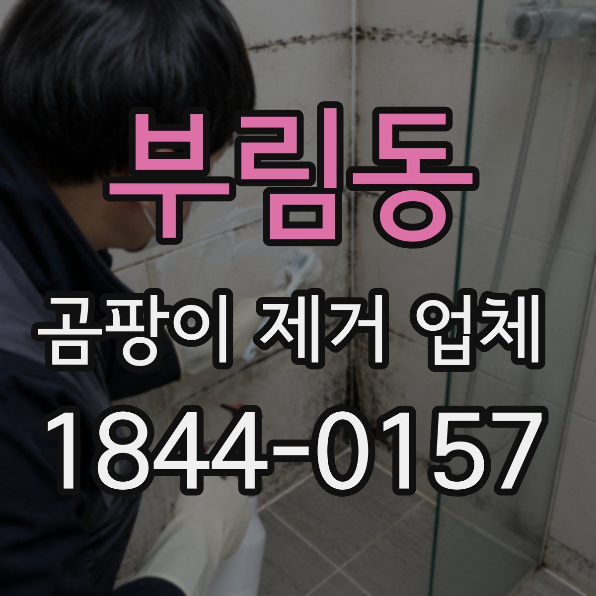부림동 곰팡이 제거 업체
